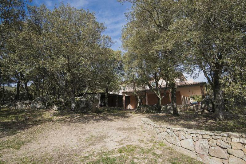 Fumu Ludurru Farm Stay Padru Exterior photo